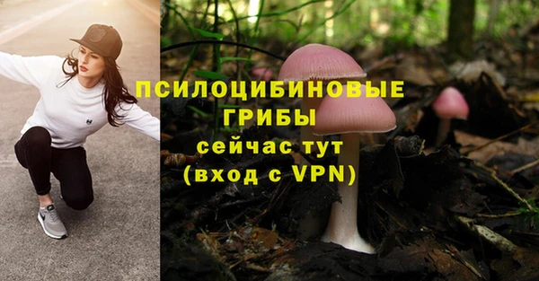 герыч Лагань