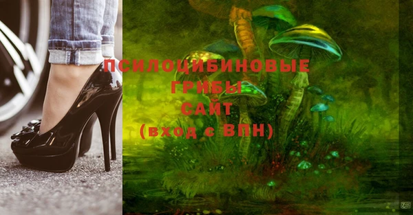 MESCALINE Лабытнанги