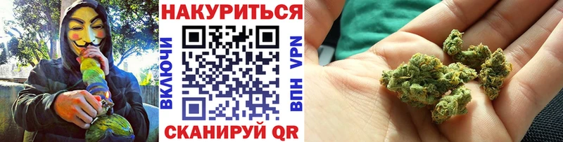 Бошки Шишки планчик  Крым 
